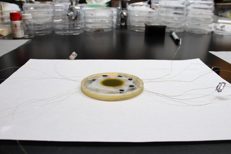 The heat pump appears as a stacked circle of polymer films.